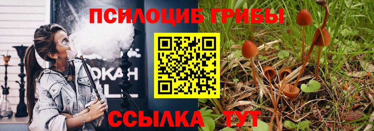 Галлюциногенные грибы MAGIC MUSHROOMS  Псилоцибиновые грибы GOLDEN TEACHER  Воронеж  Вход с VPN 